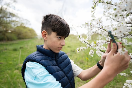 Teen boy takes a photo of a flowering tree on his phone.