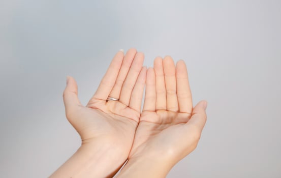 two empty female beautiful hands open with palms up closeup of top view isolated on white background photo