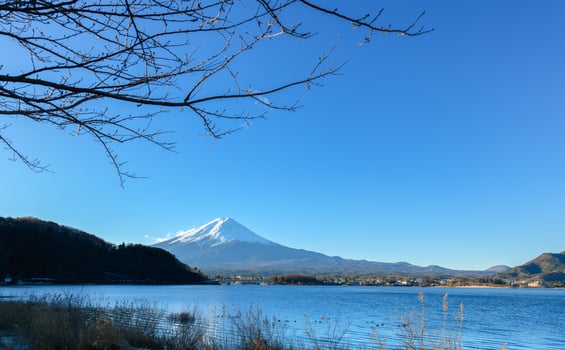 Landscape of Fuji Mountain at Lake Kawaguchiko photo