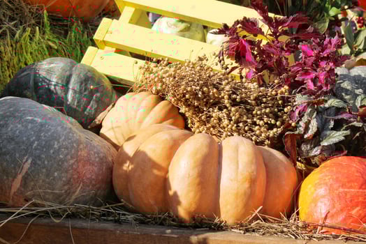 Pumpkins and autumn flowers on a haystacks. Harvest time on a farm. Fall fair of fresh organic vegetables. Festive decor in garden. Agriculture market. Rural scene. Vegetarian and vegan food day. photo