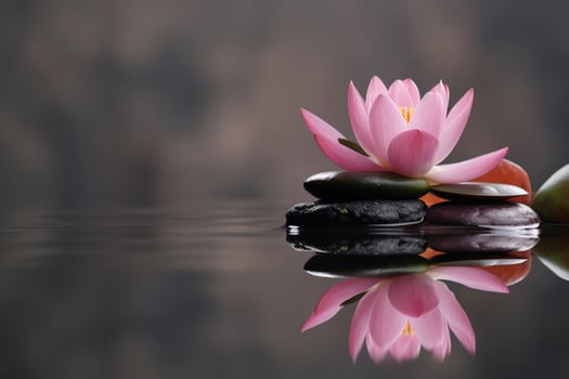 lotus flower with stone on the water ai generate photo