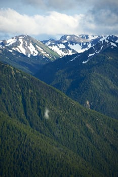Olympic Peninsula View photo