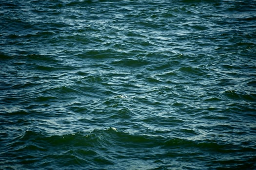 Lake Waters Close-up photo