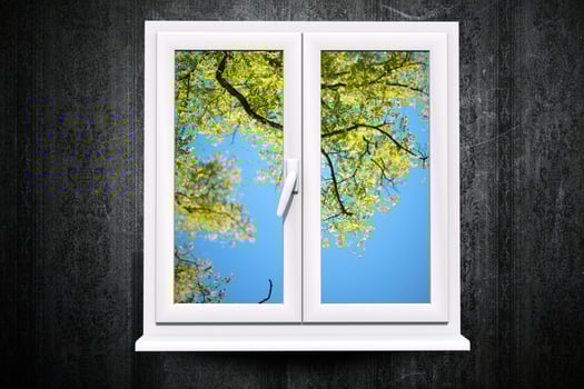 Window to Summer photo