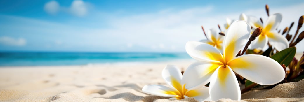 Plumeria Frangipani on tropical sea and beach blue sky background, Summer festive time. photo