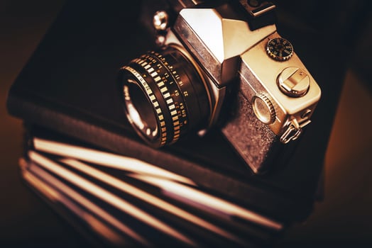 Photography Study Close-up photo