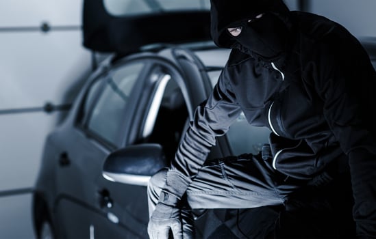 Satisfied Car Theft photo