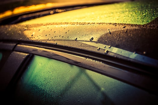 Car Body Waxing photo