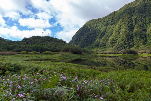 Grang Etang in Reunion Island photo