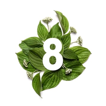 Paper number eight on background of green leaves. Minimal creative Layout with natural elements for your design photo