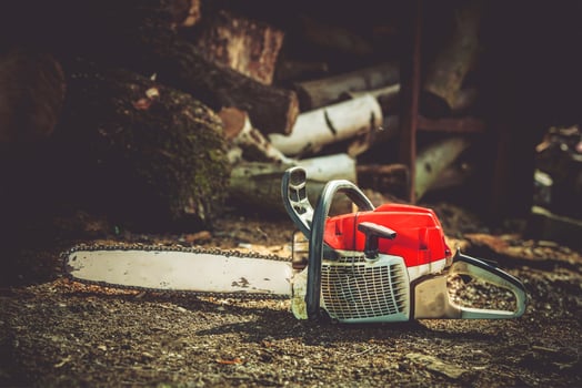 Gasoline Wood Cutter Works photo