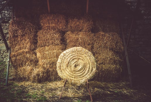 Straw Archery Target photo