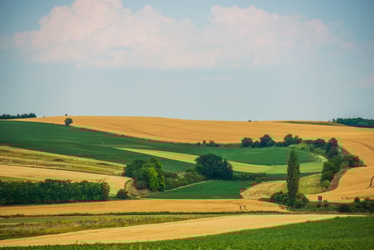 Scenic Agriculture Landscape photo