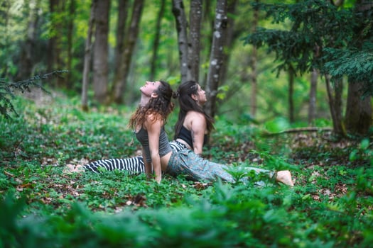 Couple of girls practice yoga in the woods photo