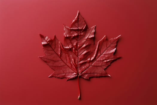 , Canada Day, 4th of July, Canada Flag Day, independence day photo
