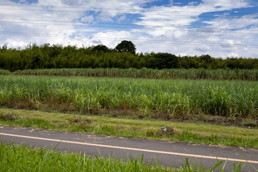 Empty bike path along the Cali - Palmira road in Colombia photo