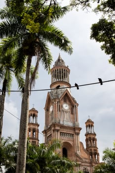 Three symbols of the city of Palmira in Colombian. Palm trees, doves and the historical Nuestra Senora del Palmar cathedral photo