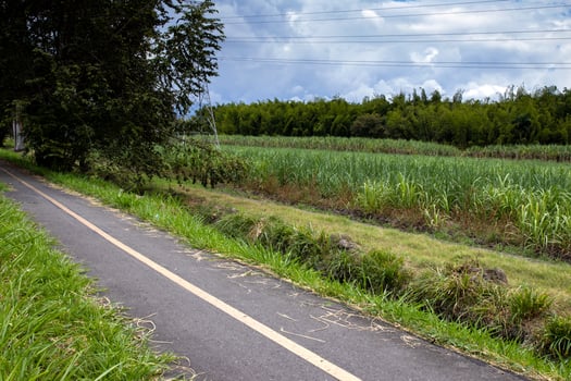 Empty bike path along the Cali - Palmira road in Colombia photo