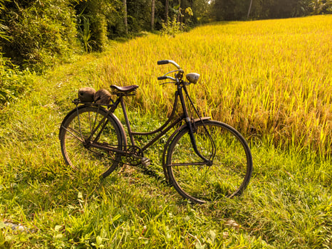 an old bicycle or sepeda onthel with rice fields in the background photo
