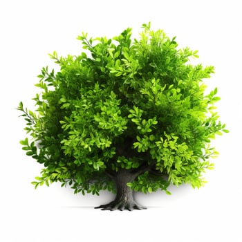 Green bush isolated. Illustration photo