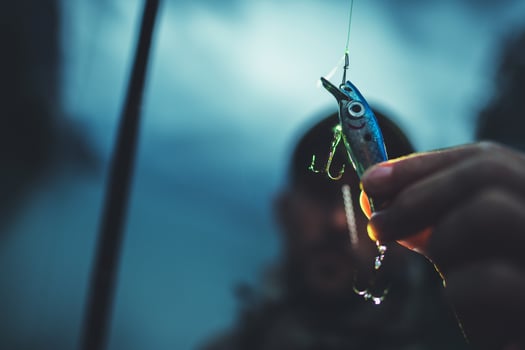 Fly Fishing Bait Closeup photo