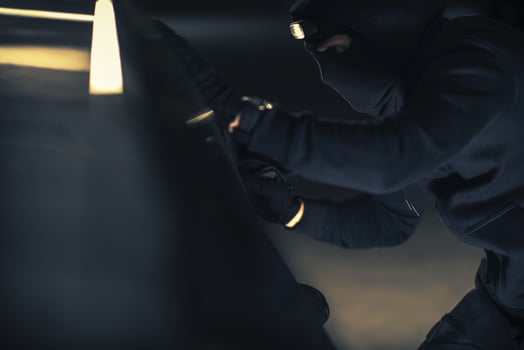 Caucasian Vehicle Thief photo