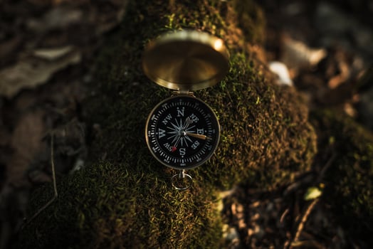 Compass on Mossy Rock photo