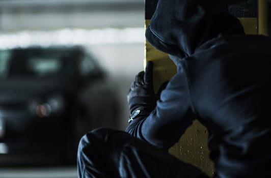 Car Thief Taking Action photo