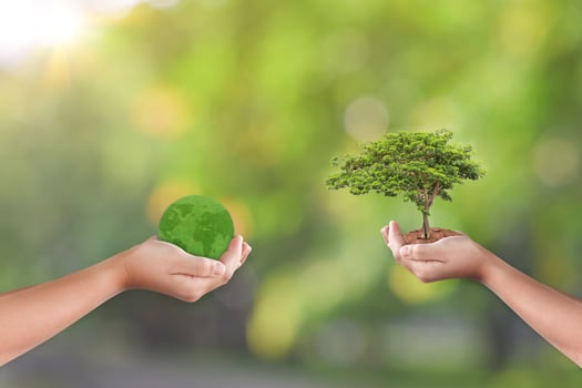 Hands holding earth globe and tree over green nature background. Saving world Ecology concept photo