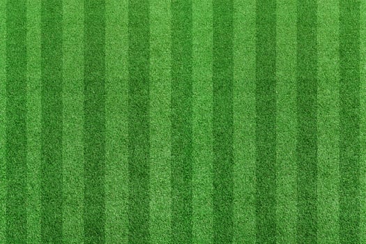 Top view stripe grass soccer field. Green lawn pattern background photo