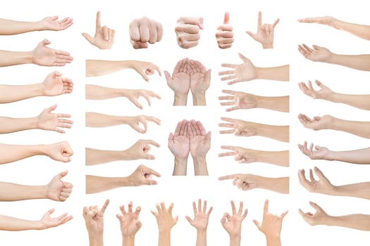 Collection of human hands in multiple gesture isolated on white background with clipping path. photo