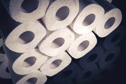 Pile of Toilet Paper photo