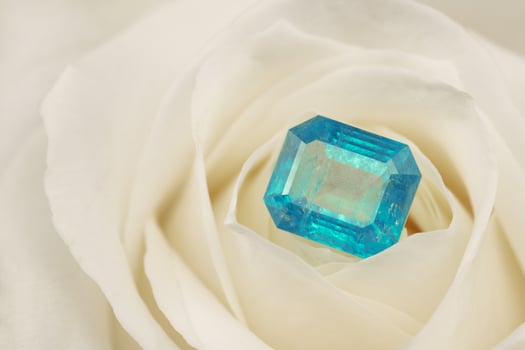Blue Sapphire Gemstone on White Rose Petals photo