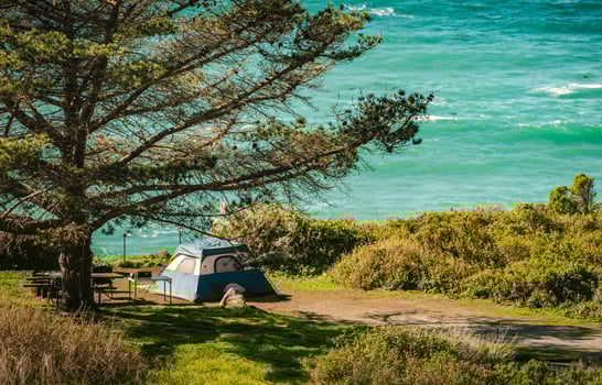 California Ocean Coast Tent Camping photo