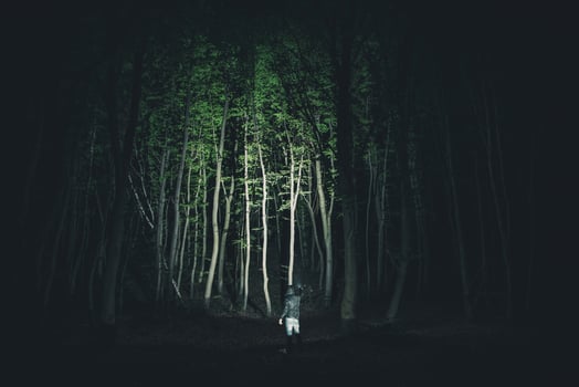 Men Inside Dark Woodland with Powerful LED Flashlight photo