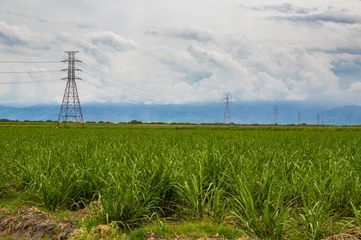 Electrical network and sugar cane field at Valle del Cauca region in Colombia photo