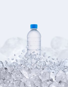 A water bottle floats up through the ice cubes photo