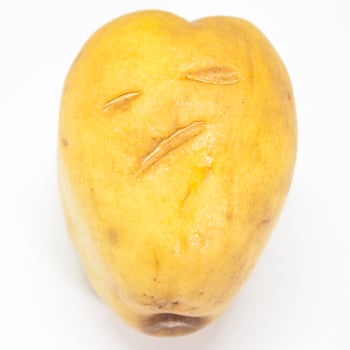 monkey apple food organic photo