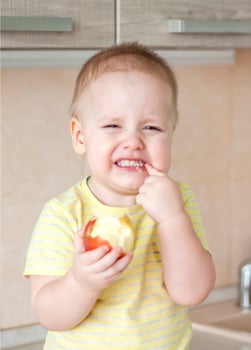 The boy is sitting on the kitchen table eating an Apple and laughing very hard photo