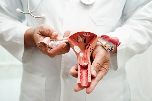 Stomach disease, doctor holding anatomy model for study diagnosis and treatment in hospital. photo