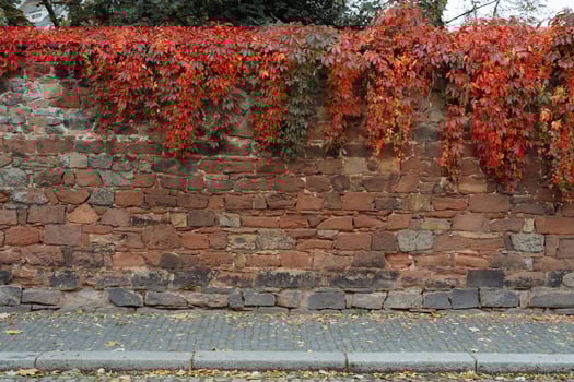 Stone wall and cobblestone sidewalk photo