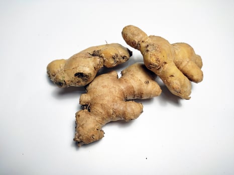 Fresh ginger or Zingiber officinale on white background. photo