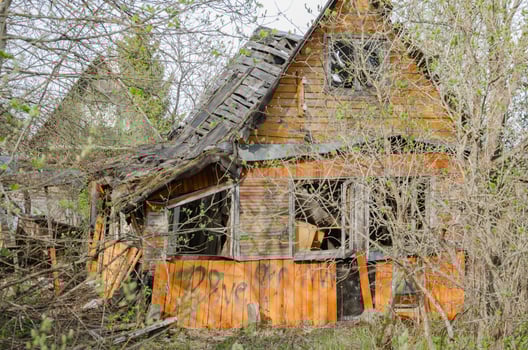 A ruined wooden house between the bushes photo