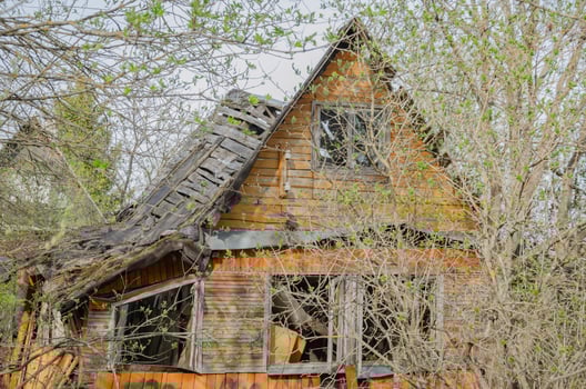 A ruined wooden house between the bushes photo