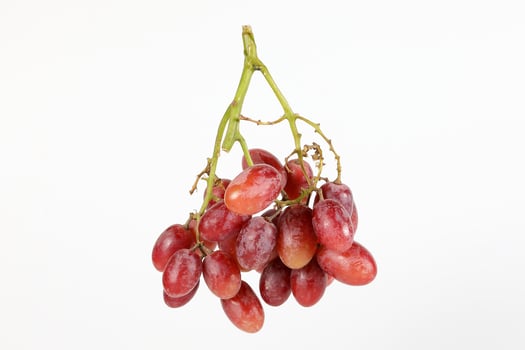 Red Grape Bunch photo