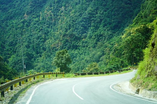 Greenery beside Road in Sikkim photo