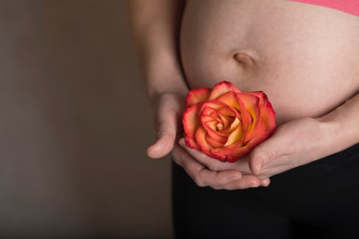 Young pregnant woman keeps natural rose blossom close to her belly. photo