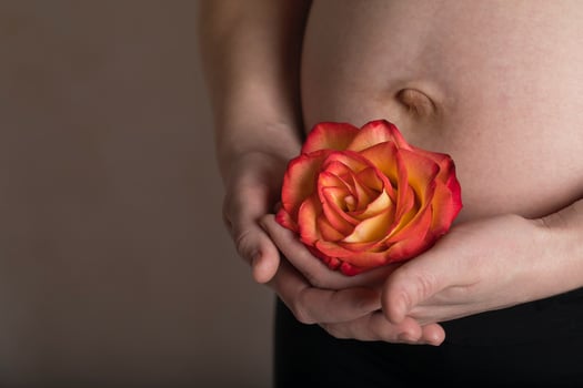 Young pregnant woman keeps natural rose blossom close to her belly. photo