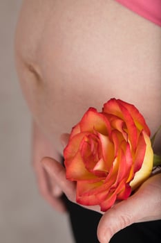 Young pregnant woman keeps natural rose blossom close to her belly. photo