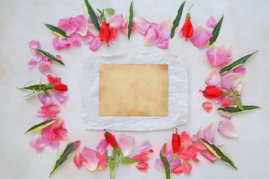 Flowers composition - background. photo